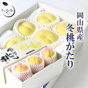 2025 ギフト 岡山 の 白桃 「 冬桃がたり 」 訳あり3玉 (約600g以上) 家庭用 お歳暮 天然 スイーツ 果物 くだもの フルーツ 【 岡山果物工房 】11月下旬頃より発送