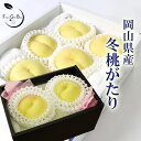 2025 ギフト 岡山 の 白桃 「 冬桃がたり 」 訳あり 2玉 (約400g以上) 家庭用 お歳暮 天然 スイーツ 果物 くだもの フルーツ 【 岡山果物工房 】11月下旬頃より発送