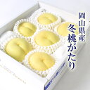 2025 ギフト 岡山 の 白桃 「 冬桃がたり 」 訳あり 大きさお任せ (約1.0kg以上) 家庭用 お歳暮 天然 スイーツ 果物 くだもの フルーツ 【 岡山果物工房 】11月下旬頃より発送
