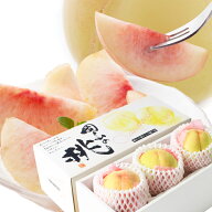 2026 お中元 ギフト 岡山 白桃 中玉 3玉入り 約800g 秀品 贈答用 桃 御中元 ギフト 御礼 プレゼント 御礼…