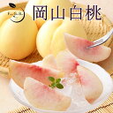 2025 お中元 ミニギフト 岡山 白桃 小玉5-7玉入り 約1.0kg 秀品 贈答用 桃 御中元 御礼 プレゼント 御礼 御祝 御供 果物 くだもの フルーツ 【岡山果物工房】※品種指定不可