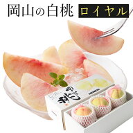 2026 お中元 ギフト 岡山 白桃 大玉 3玉入り 約900g-800g ロイヤル 赤秀品 贈答用 桃 御中元 ギフト 御礼…