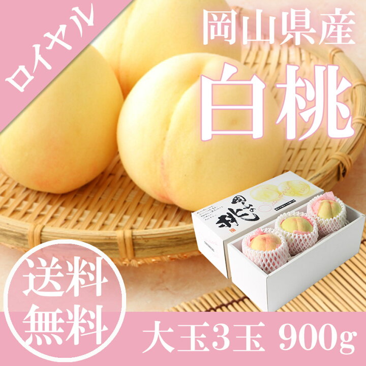 楽天市場】2022 ギフト 岡山 白桃 贈答用 大玉 3玉入り 約900g ロイヤル 赤秀品 桃 御中元 ギフト 御礼 プレゼント 御礼 御祝 御供 果物 くだもの フルーツ 【岡山果物工房】※品種指定不可 : 岡山果物工房〜御中元御歳暮ギフト 楽天市場】2022 ギフト 岡山 白桃 贈答用 大玉 3玉入り 約900g ロイヤル 赤秀品 桃 御中元 ギフト 御礼 プレゼント 御礼 御祝 御供 果物 くだもの フルーツ 【岡山果物工房】※品種指定不可 : 岡山果物工房〜御中元御歳暮ギフト