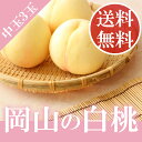 ＼ 送料無料 ／ 岡山 白桃 贈答用 中玉 3玉入り 約800kg キング 秀品 もぎたて 桃 ギフト 夏ギフト ペアギフト お中元 御中元 お供え 化粧箱 ス... ランキングお取り寄せ