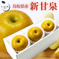 2026年 ギフト 新甘泉 しんかんせん 赤秀 3玉 贈答用 敬老の日 梨 和梨 プレゼント 御礼 御祝 御供 果物 …