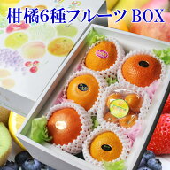 季節の柑橘 詰め合わせ 柑橘6種類フルーツBOX 贈答用 みかん JA ミカン ギフト 贈り物 プレゼント 母の日…