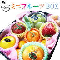 ミニフルーツBOX【10個入り】 季節フルーツ 詰め合わせ 7-10種類 贈答用 ギフト みかん 葡萄 苺 キウイ …