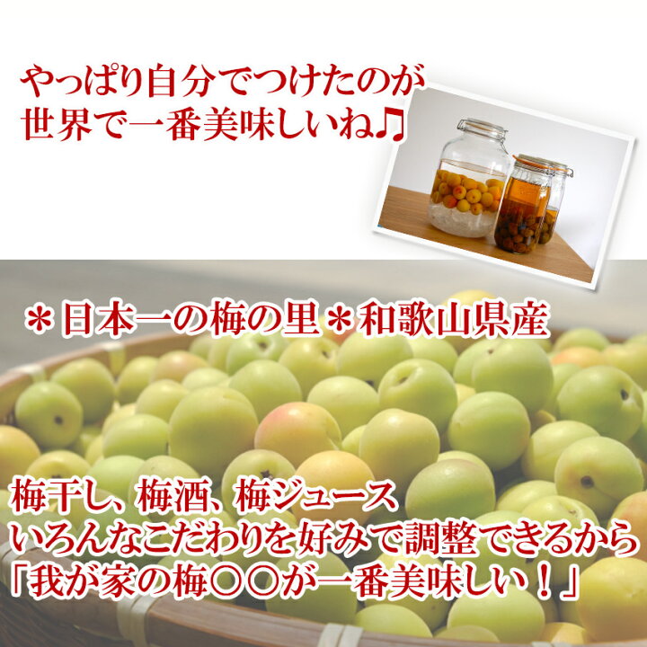 楽天市場】南高梅 L 約 5kg 秀品 和歌山県産 (生梅) 梅 紀州 うめぼし 梅酒 JA ギフト 父の日 【岡山果物工房】予約5月27日〜6月25日発送 : 岡山果物工房〜御中元御歳暮ギフト