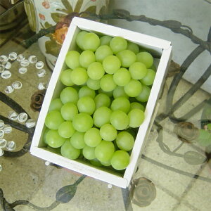 yz{̍t[cMtg R Y }XJbgEIuEALThAi1Kgj ygpt[czy䒆zyyMt_zyyMt_̂zyyMt_̂zyyMt