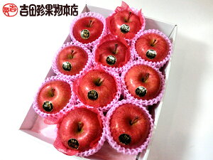 yzy쌧YzVimXC[g10i3.5kgjygpt[czy񂲁zýzypzyyMt_zyyMt_̂zyyMt_̂zyyMt_b