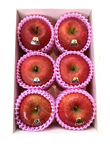 yzy쌧YzVimXC[g6ygpt[czy񂲁zýzypz