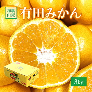 a̎RY Lc݂STCY3L@Ε/Mtg