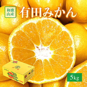  a̎RY Lc݂ TCY܂ 5L@Ε Mtg  