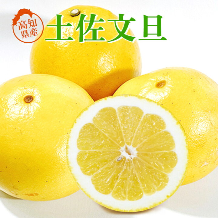 楽天市場】送料無料 高知産 文旦 わけあり 4キロ 4L-3L 土佐ぶんたん 