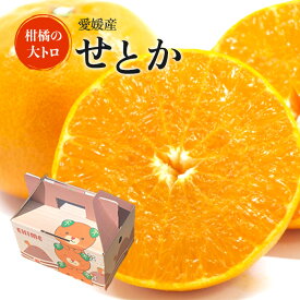 送料無料 愛媛産 せとか わけあり サイズおまかせ 2.5キロ 幻の柑橘 プレゼント ギフト 愛媛県 みかん ミカン 蜜柑 贈答用 2.5kg 高級 贈答 わけあり