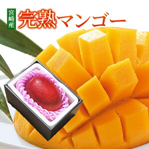 ̓  }S[ {Y n}S[ Gi  4LTCY 1ʓ Mtg ̓ 󂠂 v[g Mtg pI ̓Mtg