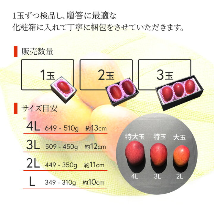 楽天市場】母の日 送料無料 マンゴー 宮崎産 完熟マンゴー 秀品 2L 