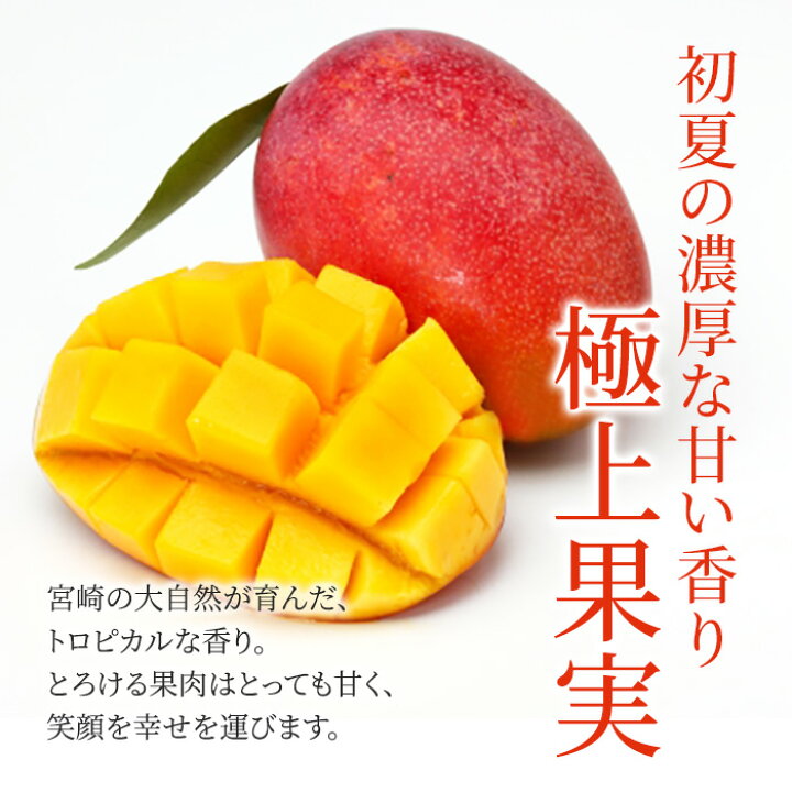 楽天市場】母の日 送料無料 マンゴー 宮崎産 完熟マンゴー 秀品 2L 