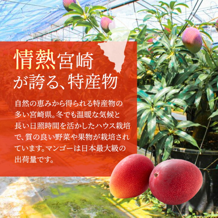 楽天市場】母の日 送料無料 マンゴー 宮崎産 完熟マンゴー 秀品 2L 