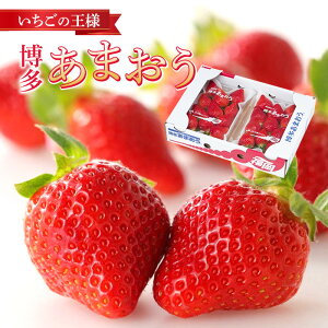  Y  ܂ fbNX 2pbN  Mtg v[g yY C`S  t[c ʕ zCgf[ ̐ߋ ЂȂ܂