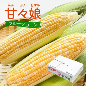 【初回お試し限定】甘々娘 かんかんむすめ 約2キロ 5-8本入り とうもろこし 朝採り 送料無料 生で食べられるとうもろこし フルーツコーン スイートコーン 買い回り プレゼント ギフト 実用的 父の日ギフト