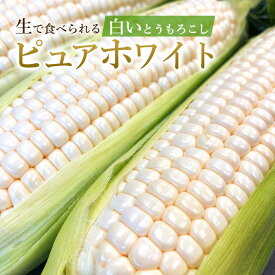 【初回限定お試し】香川産 ピュアホワイト 約2キロ 5-8本入り 朝採り 母の日 送料無料 生で食べられるとうもろこし 白いとうもろこし プレゼント ギフト 実用的 父の日ギフト