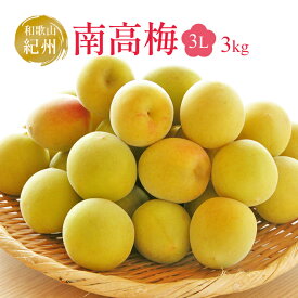 送料無料 紀州 和歌山産 南高梅 秀品 3L 約3キロ プレゼント ギフト 実用的 父の日ギフト