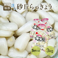 鳥取産 福部 洗いらっきょう 3キロ Sサイズ 送料無料 洗いラッキョウ プレゼント ギフト 実用的 父の日ギ…