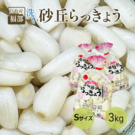 鳥取産 福部 洗いらっきょう 3キロ Sサイズ 送料無料 洗いラッキョウ プレゼント ギフト 実用的 父の日ギフト
