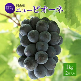 送料無料 岡山産 ピオーネ 赤秀 2房入り 800-900g ぶどう プレゼント お供え ギフト 贈り物 お土産