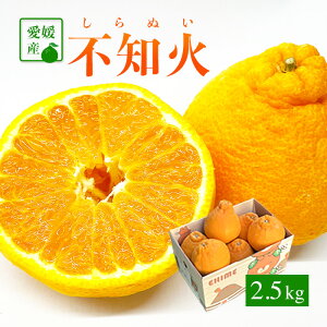 �������� ���Q�Y ����ʂ� �킯���� �T�C�Y���܂��� 2�L�� ���Q 2kg ���j�� ������ �M�t�g �v���[���g �o�����^�C�� �����x �Z�� �݂��� �Â� ���k��