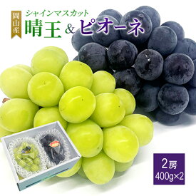 送料無料 岡山産 シャインマスカット晴王 ピオーネ 優品 400グラム 2房入 ぶどう プレゼント お祝い ギフト