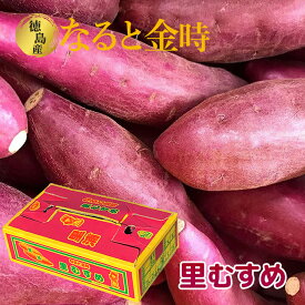 送料無料 徳島県産 さつまいも 鳴門金時 里むすめ なると金時 サツマイモ 3kg Sサイズ