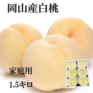 �������� ���R�Y ���� �󂠂� 1.5�L�� 5�|8�ʓ��� �ƒ�p