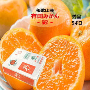 a̎RY Lc݂ 5L TCYC  Ε Mtg v[g NX}X x  