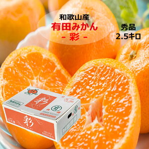 a̎RY Lc݂ 2.5L TCYC  Ε Mtg v[g NX}X x  