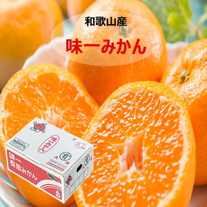 a̎RY Lc݂ 2.5L TCYC  Ε Mtg v[g NX}X x  