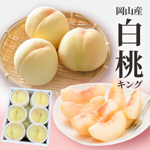  RY  LO 1.5L 6-8   Mtg蕨 yY