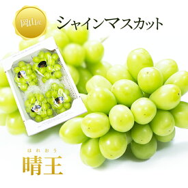 送料無料 岡山産 シャインマスカット 晴王 訳あり 2キロ 3-5房 ぶどう ギフト お供え プレゼント 贈り物 お土産 シャインマスカット晴王 家庭用 福袋 お正月