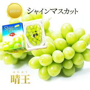  RY VC}XJbg  ԏG 1[600O Ԃǂ Mtg  v[g 蕨 yY