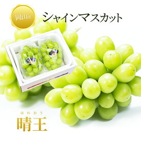 岡山産 シャインマスカット 晴王 優品2房 800-900g 送料無料 ぶどう 内祝 ギフト お供え プレゼント 贈り物 お土産 シャインマスカット晴王 福袋