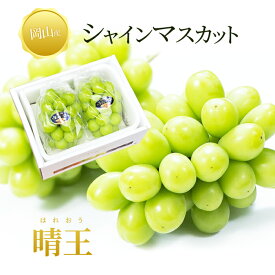 送料無料 岡山産 シャインマスカット 晴王 青秀2房 1kg ぶどう ギフト お供え プレゼント 贈り物 お土産 シャインマスカット晴王 福袋 お正月