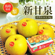 送料無料 鳥取産 新甘泉 青秀品 10-16玉 約5キロ 贈答 新甘泉梨 梨 しんかんせん