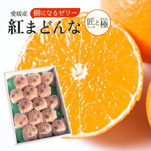 Ε Ε QY g܂ǂ Ƌ ԏG 3kg 2L-L JAЂߒ  Ε ƒp j  Mtg v[g NX}X x ݂ Z