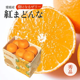 お歳暮 愛媛産 紅まどんな 2kg 青秀 大きさお任せ(6-11玉入り) JAえひめ中央 送料無料 お歳暮 家庭用 内祝い お供え ギフト プレゼント クリスマス 高糖度 みかん 濃厚 福袋 お正月