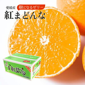 Ε QY g܂ǂ 5kg Z 3L-2L-L JAЂߒ  Ε ƒp j  Mtg v[g NX}X x ݂ Z