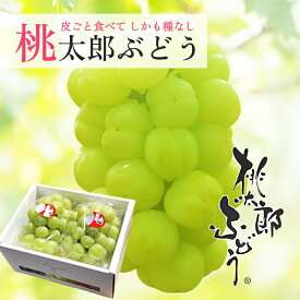 お中元 送料無料 岡山産 桃太郎ぶどう 約1キロ 2房入り ぶどう マスカット 瀬戸ジャイアンツ プレゼント お祝い ギフト