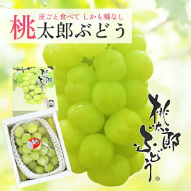 お中元 送料無料 岡山 香川産 桃太郎ぶどう 700〜800g 1房 ぶどう マスカット 瀬戸ジャイアンツ プレゼント ギフト 贈り物