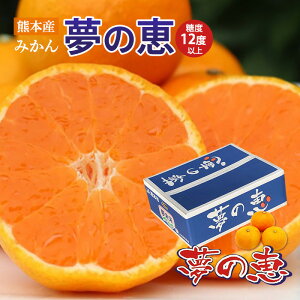  F{Y ̌b ݂ MTCY 4L Ε F{݂ j  Mtg v[g NX}X x ݂ Z  