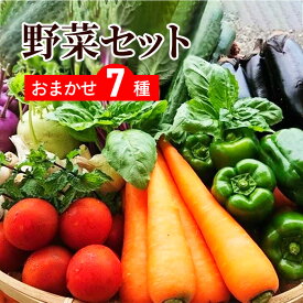 送料無料 野菜セット 7品セット おまかせ野菜セット 野菜詰め合わせ お試し野菜セット 野菜セット 野菜宅配 西日本野菜セット フードロス バレンタイン 岡山 複袋 福袋 送料込 プレゼント ギフト 実用的 父の日ギフト 福袋 お正月